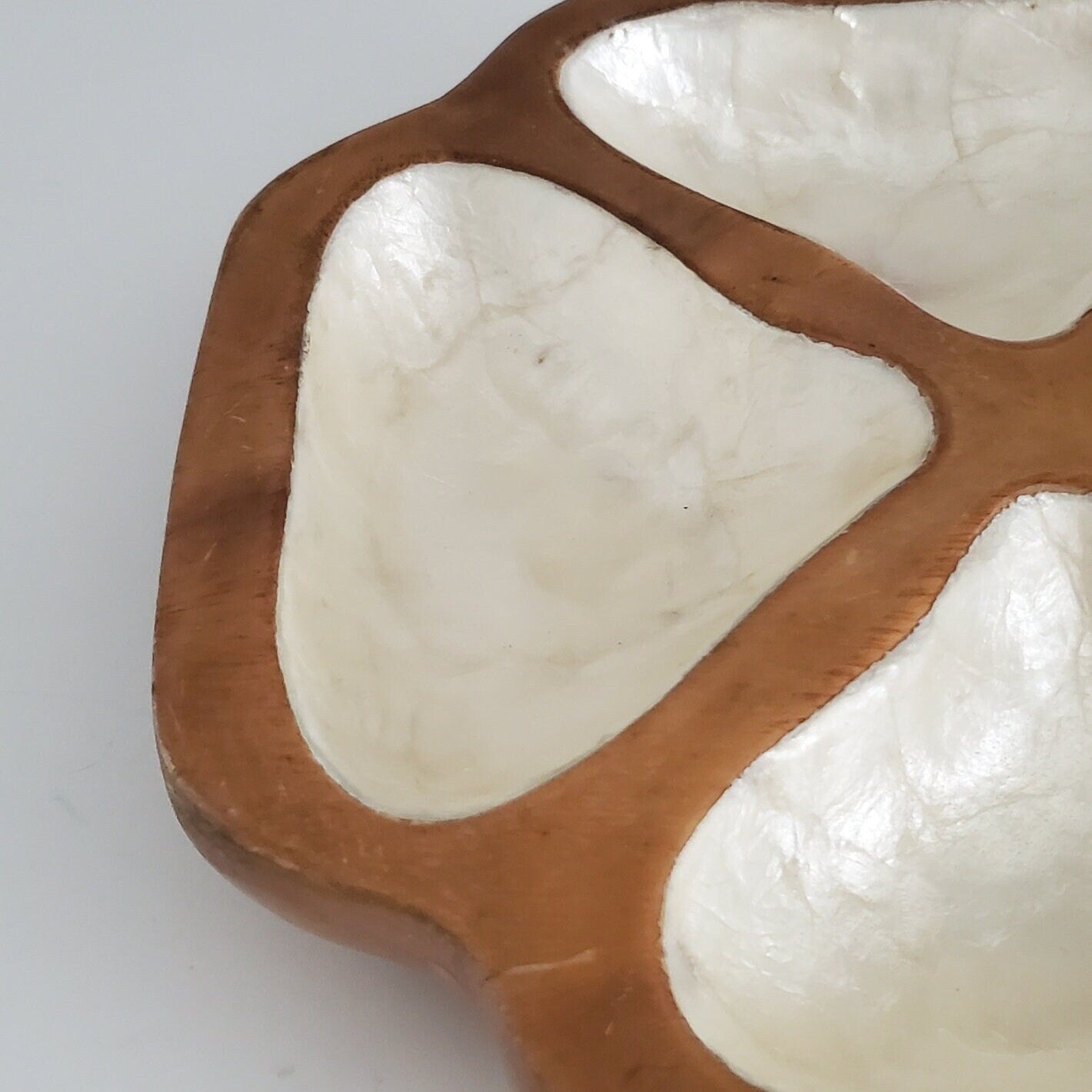 Mid Century Catchall Monkey Pod Capiz Shell Dish Vintage Dvided Wood Bowl
