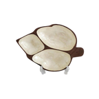 Mid Century Trinket Dish Monkey Pod Capiz Shell Vintage Divided Wood Bowl