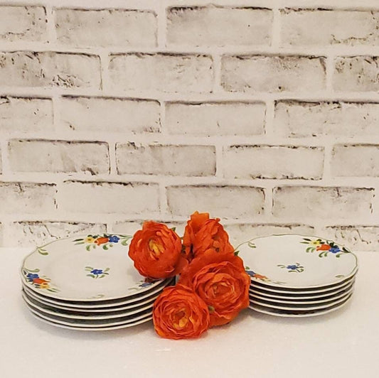 Vintage Taste Setter Plates, Collectible Floral Dinnerware Set