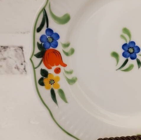 Vintage Taste Setter Plates, Collectible Floral Dinnerware Set
