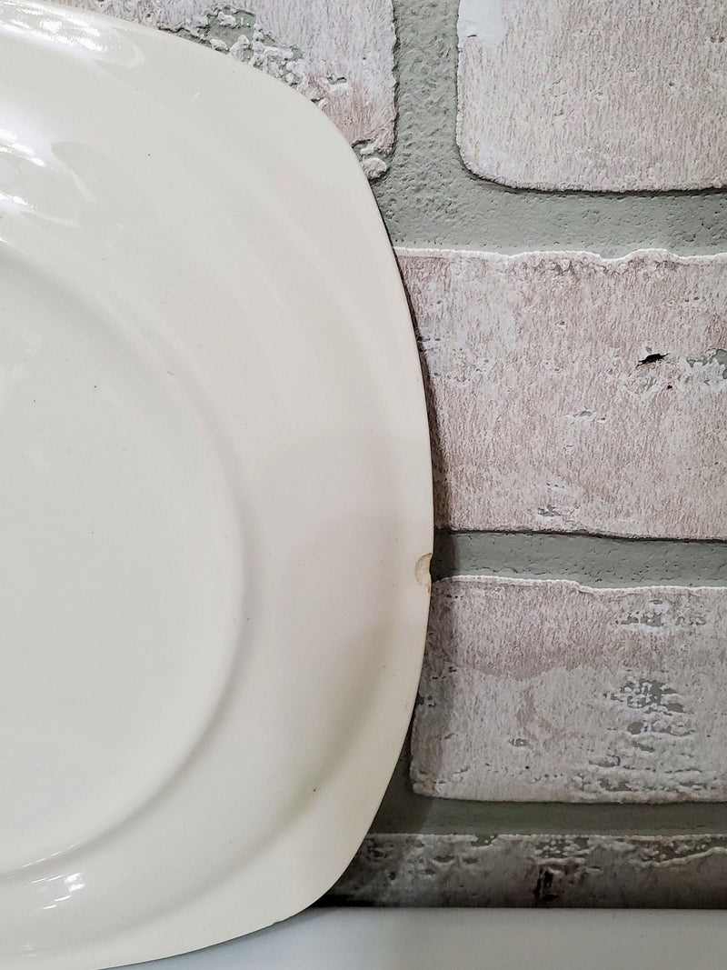 Creamer and Salad Plate Coquette "Old Rose" Paden City Dishes Set